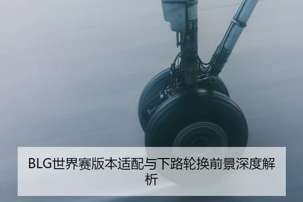 BLG世界赛版本适配与下路轮换前景深度解析