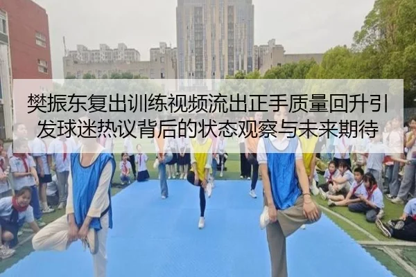 樊振东复出训练视频流出正手质量回升引发球迷热议背后的状态观察与未来期待