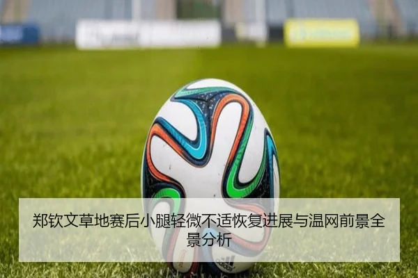 郑钦文草地赛后小腿轻微不适恢复进展与温网前景全景分析