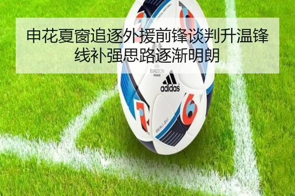 申花夏窗追逐外援前锋谈判升温锋线补强思路逐渐明朗